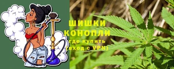 гидропоника Гусь-Хрустальный