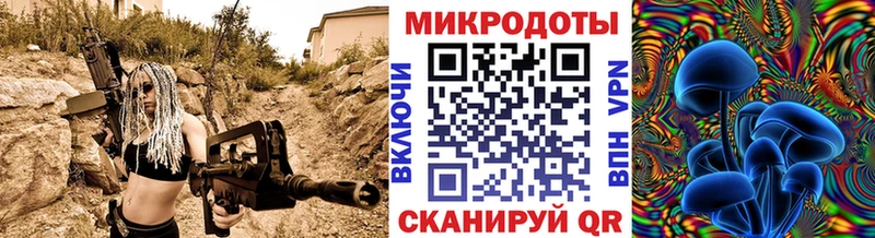 Купить Димитровград Псилоцибиновые грибы Cubensis