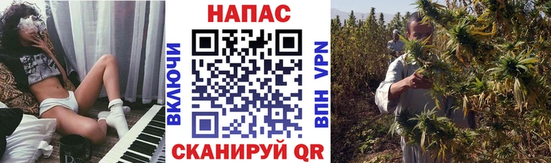 Шишки марихуана THC 21%  Купить где  Димитровград 